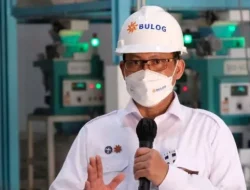 Bulog Buka Opsi Pengadaan dari india Hingga Myanmar, Antisipas Vietnam Pangkas Ekspor Beras