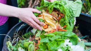 Macam-macam Pupuk Organik untuk Berkebun di Rumah