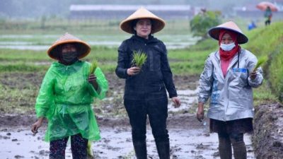 Singgung Calon Pemimpin Tak Cukup Modal Popularitas, Emrus Promosikan Puan untuk Pilpres