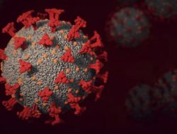 Update Covid-19 Indonesia: Kasus Positif 607, 2.782 Sembuh, 22 Meninggal