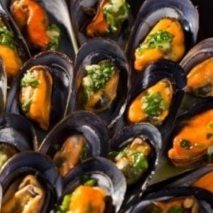 Awas! Jenis Kerang Ini Banyak Kandungan Mikroplastik