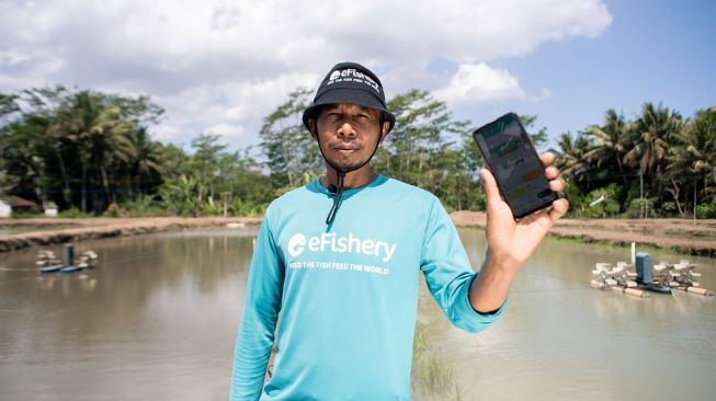 Startup Akuakultur Makin Bersinar, Budidaya Ikan Raih Untung Tiga Kali Lipat