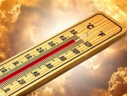Dilanda Gelombang Panas, Puluhan Warga Korsel Kena Heatstroke Membahayakan