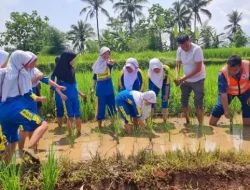 Murid SD Belajar Pertanian Ramah Lingkungan di Kampung Papisangan