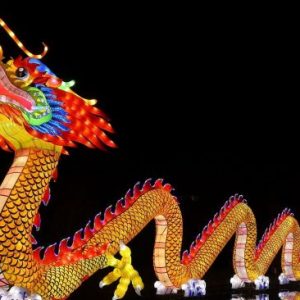 Shio Hari Ini 6 Januari 2021: Naga Luangkan Waktu Untuk Diri Sendiri