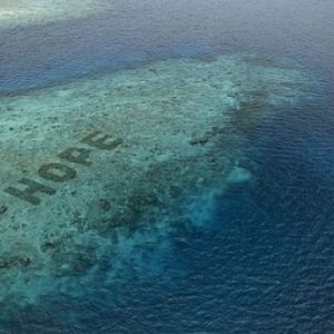 Lindungi Ekosistem Laut, Inilah Restorasi Terumbu Karang Terbesar di Dunia