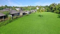 Intip Suasana Pedesaan Khas Bali di Kamaala Resort