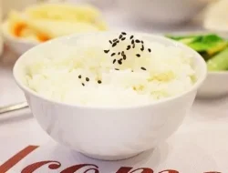 Cocok Buat Anak Kos, Begini Cara Masak Nasi untuk Satu Porsi di Rice Cooker