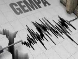 Gempa Magnitudo 5,0 Guncang Halmahera Selatan