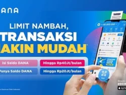 Top Up Saldo DANA Kini Bisa Sampai Rp 20 Juta