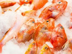 4 Jenis Ikan Laut yang Paling Banyak Dikonsumsi Orang Indonesia