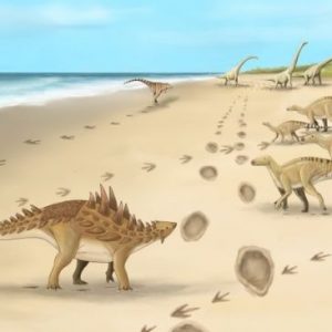 Jejak Kaki Dinosaurus Terakhir yang Hidup di Inggris