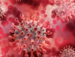 Kasus Positif Covid-19 di Indonesia Hari Ini Tambah 479, Enam Orang Meninggal