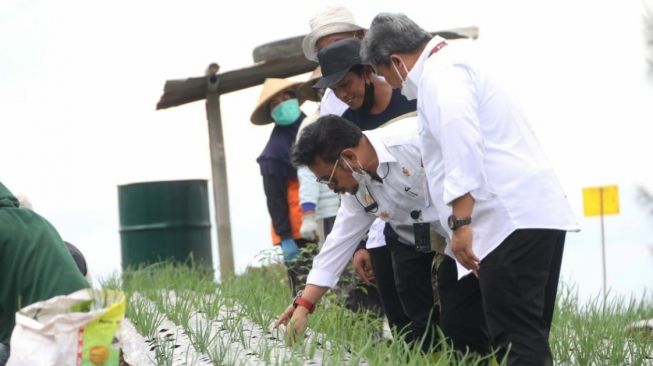 Ancaman La Nina di Depan Mata, Kementan Minta Seluruh Komponen Bergerak di Lapangan