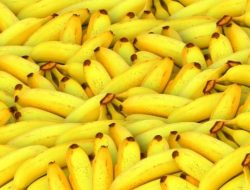 Makan Buah Pisang Saat Perut Kosong, Adakah Risiko Bahayanya?