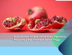 Buah-buahan ini Baik untuk Atasi Hipertensi, Khasiatnya Bisa Turunkan Darah Tinggi Buah-buahan ini Baik untuk Atasi Hipertensi, Khasiatnya Bisa Turunkan Darah Tinggi