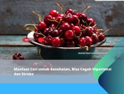 Manfaat Ceri untuk Kesehatan, Bisa Cegah Hipertensi dan Stroke