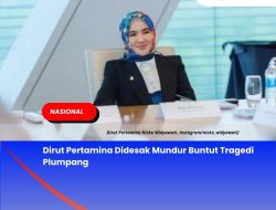 Dirut Pertamina Didesak Mundur Buntut Tragedi Plumpang