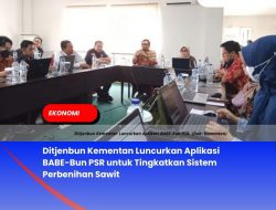 Ditjenbun Kementan Luncurkan Aplikasi  BABE-Bun PSR untuk Tingkatkan Sistem Perbenihan Sawit