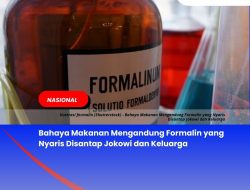 Bahaya Makanan Mengandung Formalin yang Nyaris Disantap Jokowi dan Keluarga