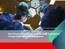 Ada Peluang Kemnaker Jajaki Kerja Sama Penempatan Tenaga Medis Indonesia di Singapura