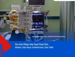 Dua Anak Diduga Idap Gagal Ginjal Akut, Menkes: Satu Kasus Terkonfirmasi, Satu Tidak