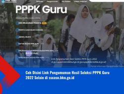 Cek Disini Link Pengumuman Hasil Seleksi PPPK Guru 2022 Selain di sscasn.bkn.go.id