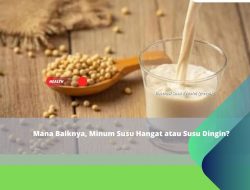 Mana Baiknya, Minum Susu Hangat atau Susu Dingin?