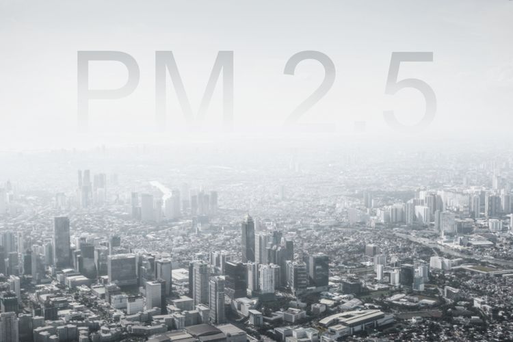 Rekomendasi Masker Untuk Menangkal Bahaya PM 2.5 Menurut Ahli