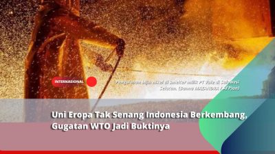 Uni Eropa Tak Senang Indonesia Berkembang, Gugatan WTO Jadi Buktinya