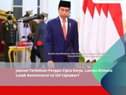 Jokowi Terbitkan Perppu Cipta Kerja, Lantas Dimana Letak Kontroversi Isi UU Ciptaker?