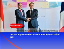 Jokowi Rayu Presiden Prancis Buat Tanam Duit di IKN