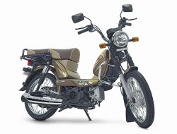TVS XL100 Heavy Duty i-Touchstart, Motor Unik yang Bisa Angkut Banyak Barang TVS XL100 Heavy Duty i-Touchstart, Motor Unik yang Bisa Angkut Banyak Barang