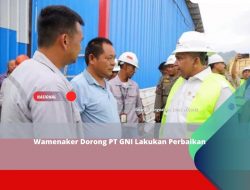 Wamenaker Dorong PT GNI Lakukan Perbaikan