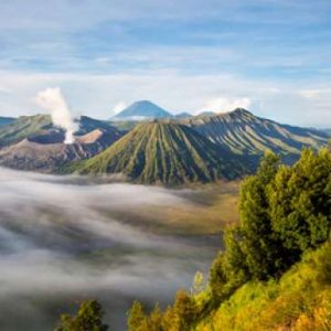 Pengertian Biosfer Serta Faktor Persebaran Flora dan Fauna di Muka Bumi