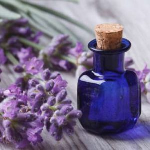 Stres Saat Hamil Mom? Bantu Atasi dengan 4 Herbal Ini