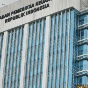 BPK Beberkan Data Pemda yang Malas Eksekusi Anggaran Covid-19